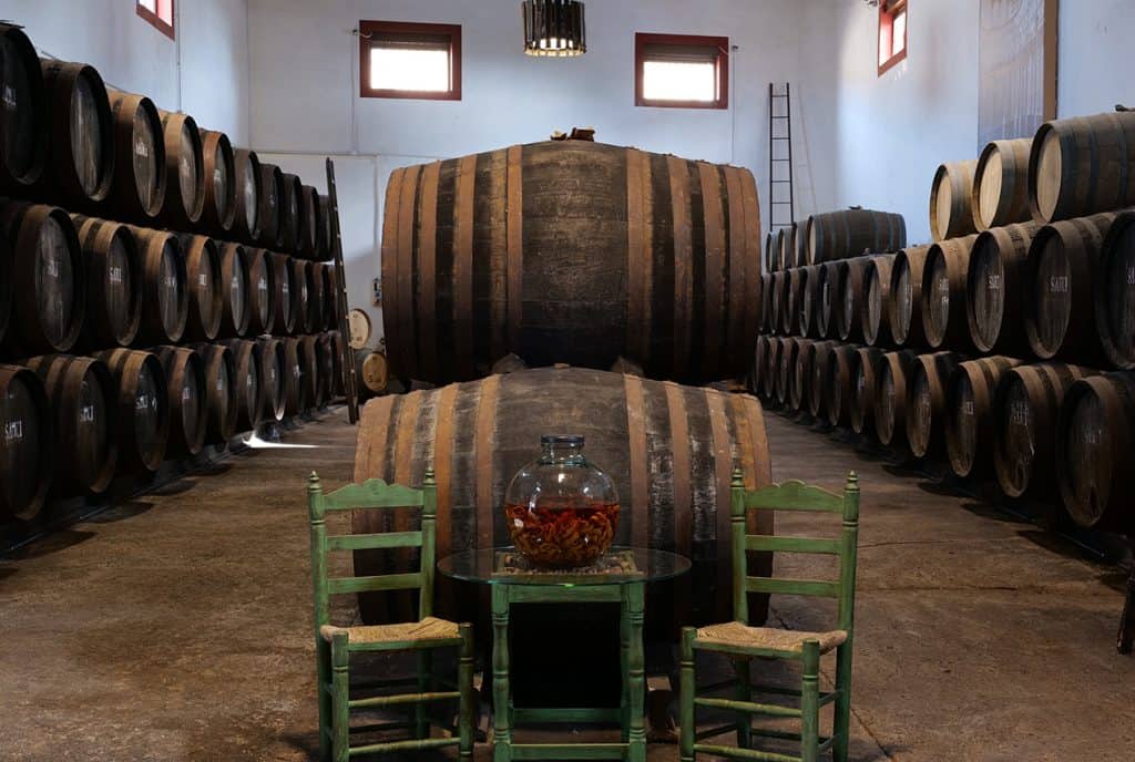 The Condado de Huelva Wine Route is stepping up its promotional efforts in Seville with an outdoor advertising campaign under the slogan “Where wine comes to life”